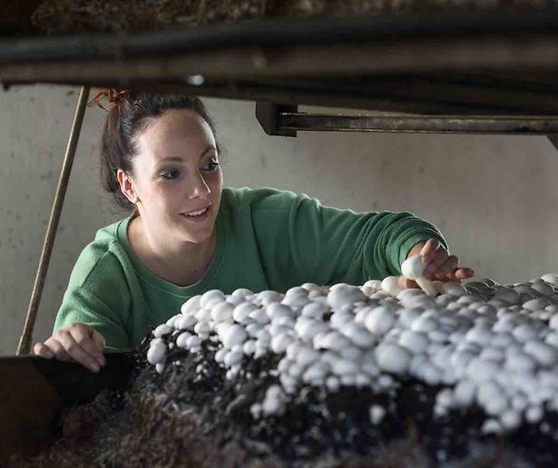 Drugsafval gevonden op boerderij Michelle van Boer Zoekt Vrouw