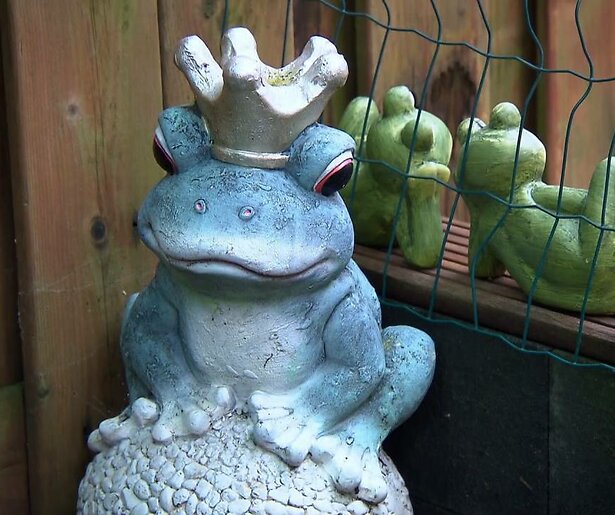 Mr. Frank Visser himself wordt gemist in kikkervete