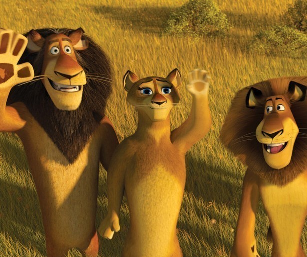 Madagascar-vrienden storten neer in Afrika