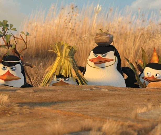 Madagascar-vrienden storten in Madagascar: Escape 2 Africa neer in Afrika