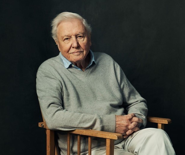 De makers van Mammals brengen de egeltenrek in beeld