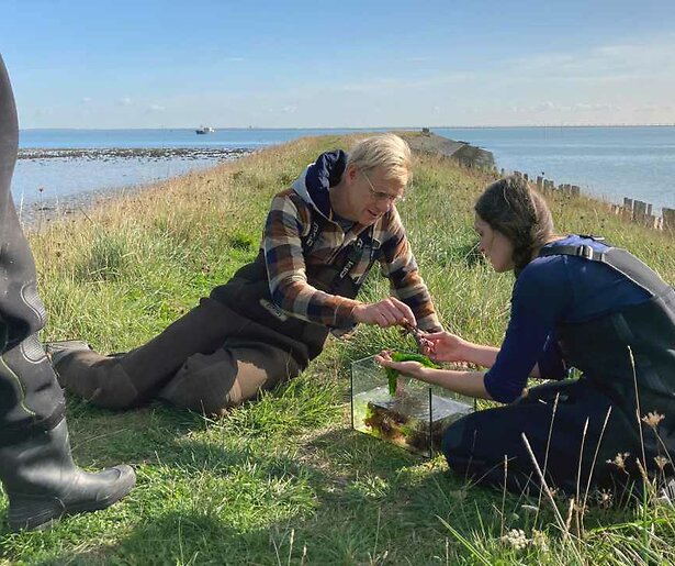 Menno Bentveld is terug met Vroege Vogels: 'Ik vind het nog altijd een voorrecht' 