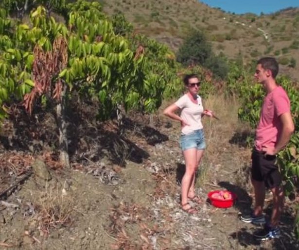 De TV van gisteren: Ik Vertrek-deelnemers zonder spaargeld naar Spanje