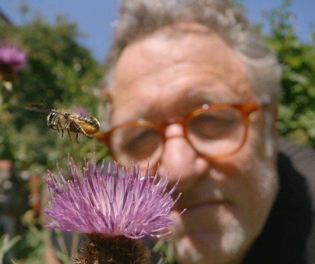 Martin Dohrn filmt verschillende bijensoorten in de natuurdocumentaire My Garden of a Thousand Bees