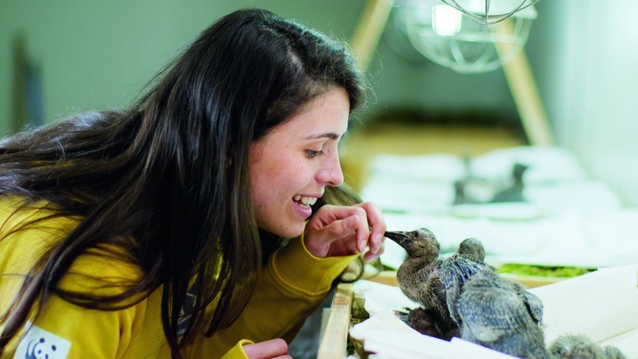 Katherina Huchler in Planet Earth