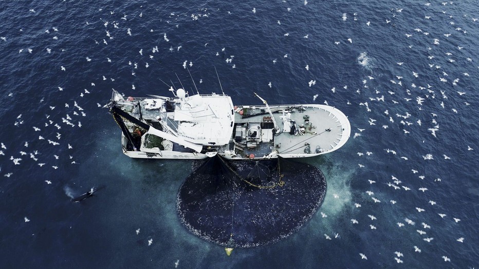 Still uit The Age of Nature 