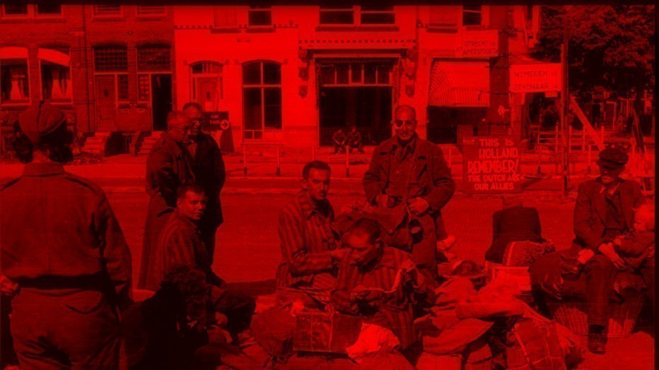 Nederlandse Joden na de Bevrijding - Terug naar Niets, Niemand, Nergens