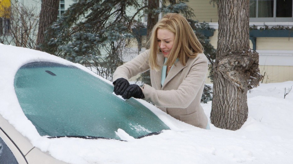 Renée Zellweger in New in Town