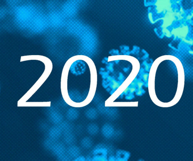 Alles draaide in 2020 om corona