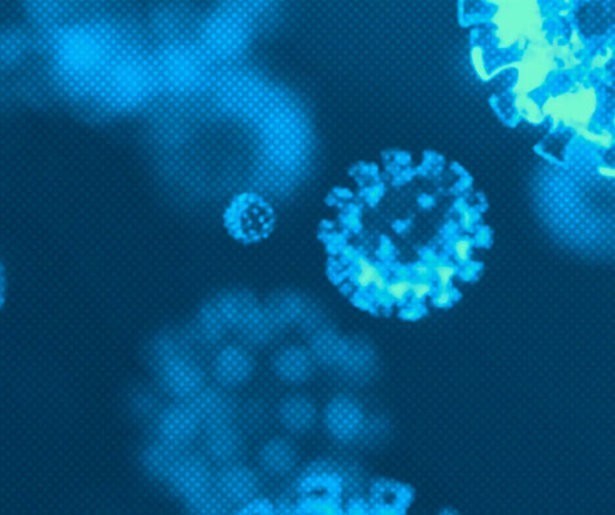 NOS duikt opnieuw in virus met coronaspecial