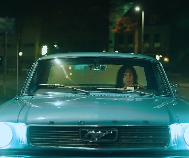 Op deze datum start bij BNNVARA het vierde seizoen van Nachtdieren