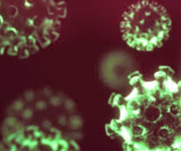 Verhalen uit een bizar jaar