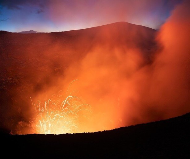 David Attenborough verwarmt de harten in natuurserie A Perfect Planet