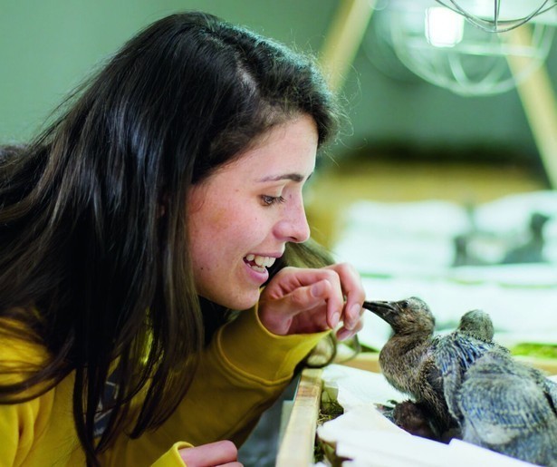 Heldhaftige natuurbeschermers in de spotlights in slotaflevering Planet Earth