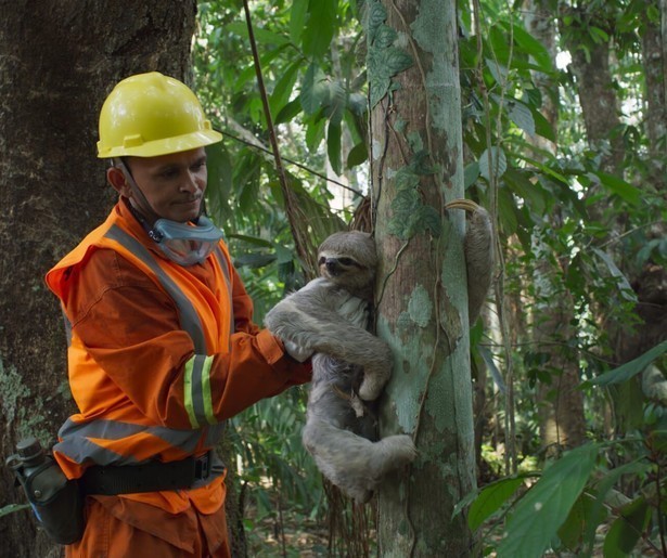 De langstaartmakaken uit Planet Earth maken het de bevolking niet makkelijk