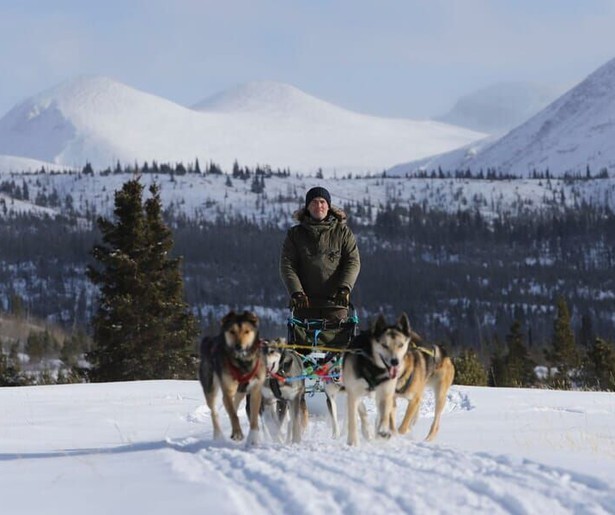 Gordon Buchanan trekt met een hondenslee door de wildernis van het onherbergzame Yukon