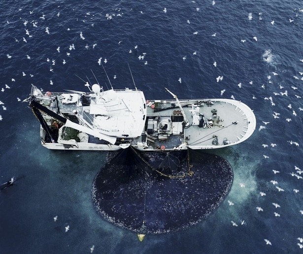 Britse documentairereeks The Age of Nature brengt een ode aan de herstellende natuur