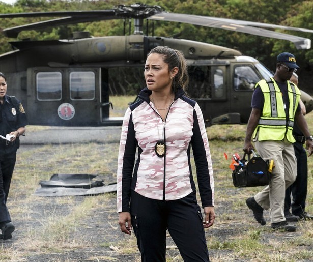 NCIS: Hawaii gaat van start op NET5