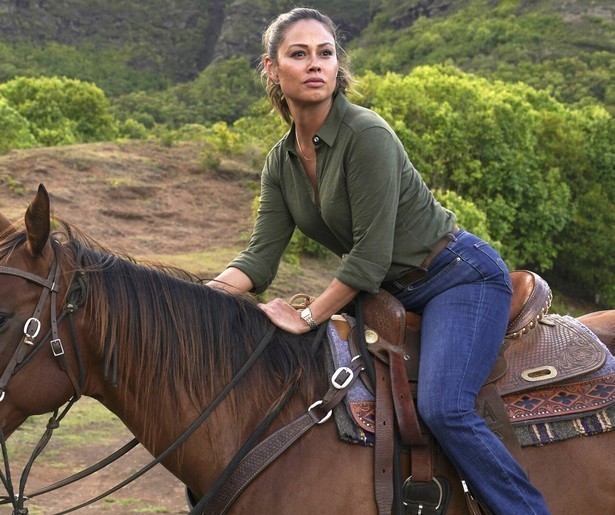 Van een paard geschoten in NCIS: Hawaii