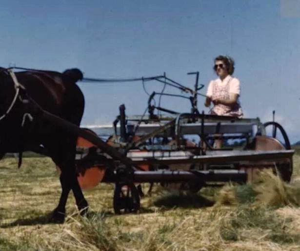 Wim Daniëls laat Nederland weer zien aan de hand van amateurfilms