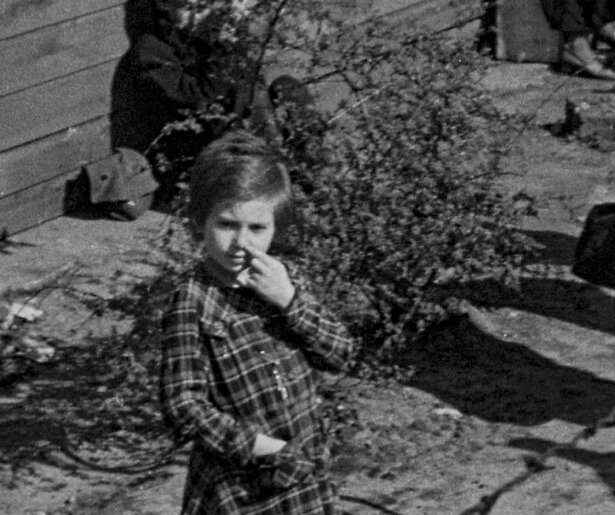 De holocaust in beeld in NPO Doc: What They Found in Bergen-Belsen