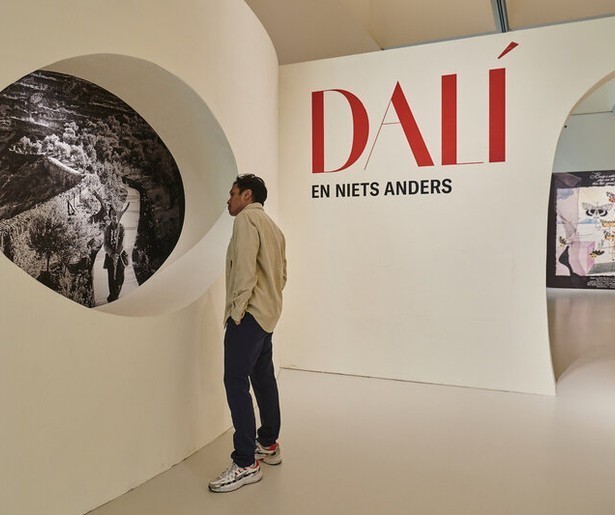De andere kant van Dalí