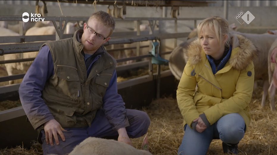 De TV van gisteren: Onze Boerderij blijft kijkcijferhit