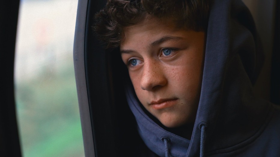 Vlinder Ooijens in Oranje Dromen