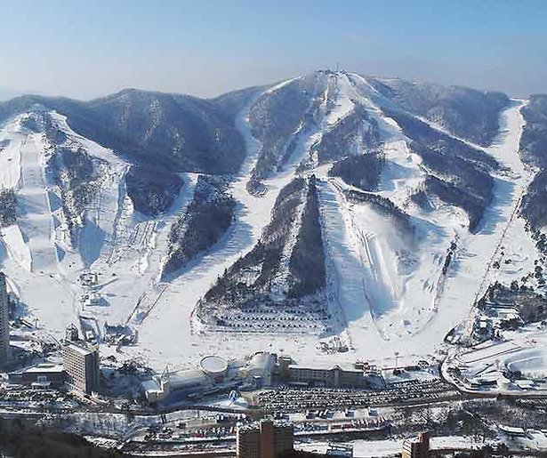 Huldiging Olympische en Paralympische atleten live op tv