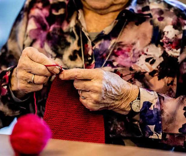 Oma's in de aanbieding bij SBS