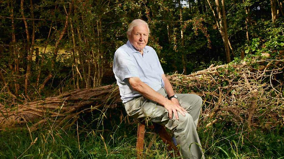 Sir David Attenborough in Planet Earth