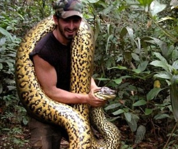 Man die werd opgegeten door Anaconda geeft interview
