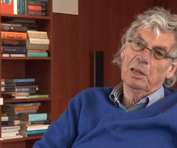 Peter van Straaten (81) overleden