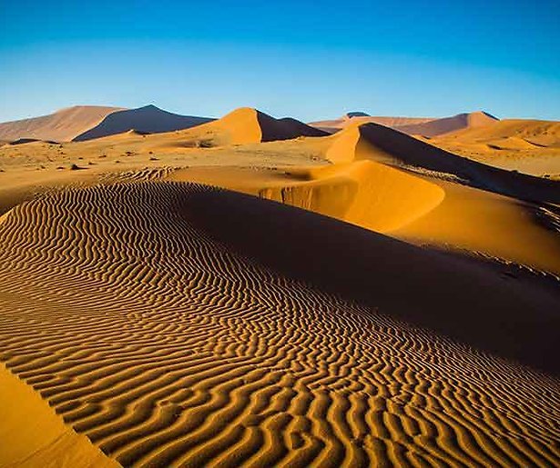 Natuurseries BBC de komende jaren bij de NPO 