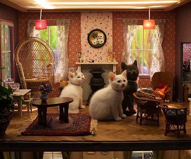 Tweede seizoen real life-serie Poesjes