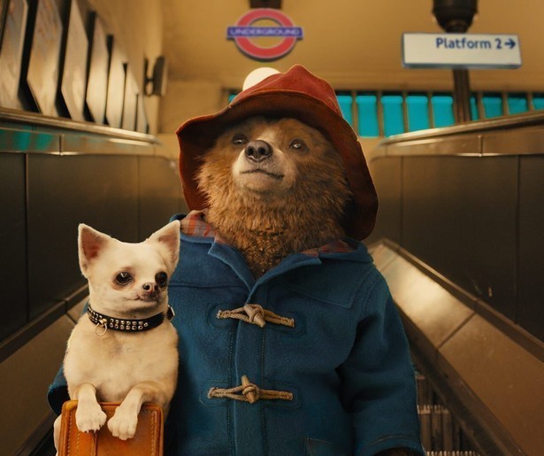 Paddington verhuist naar Londen in gelijknamige film
