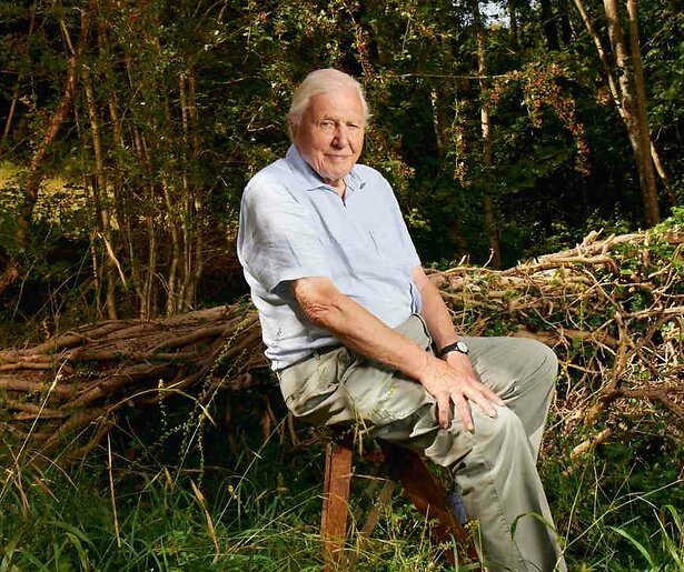 David Attenborough (98) laat je weer de pracht en praal van de wereld zien in Planet Earth
