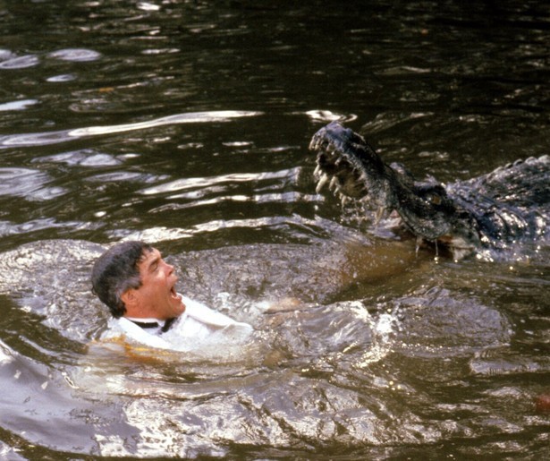 Politiekneuzen maken de dienst uit in Miami in Police Academy 5: Assignment: Miami Beach