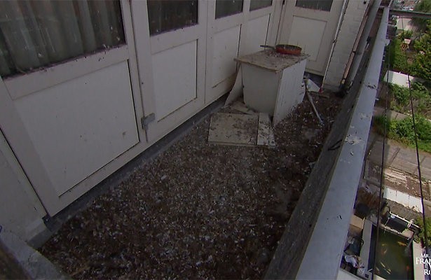 Videosnack: Mr. Frank Visser moet tot zijn enkels in de poep