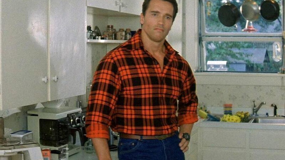 Arnold Schwarzenegger jaagt op een moordenaar