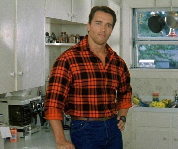 Arnold Schwarzenegger jaagt op een moordenaar