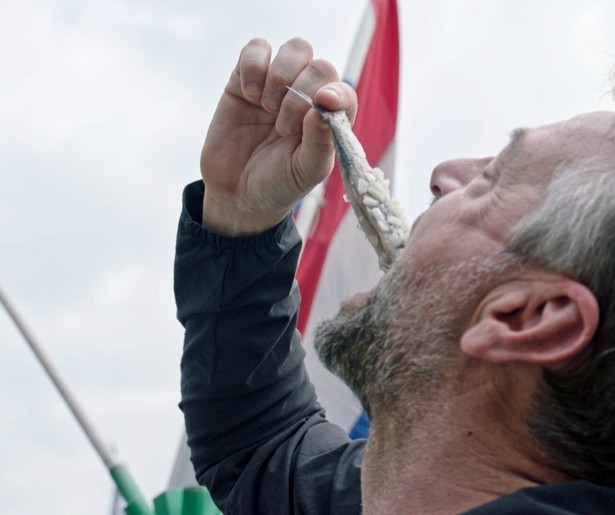 Tom Waes op de toeristische tour