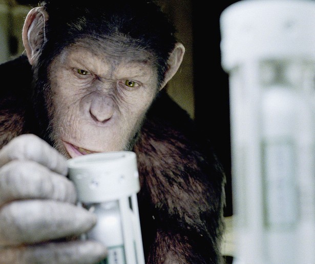 De hyperintelligente apen van James Franco in Rise of the Planet of the Apes