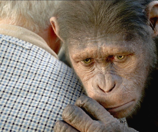 De hyperintelligente apen van James Franco breken de boel af in Rise of the Planet of the Apes