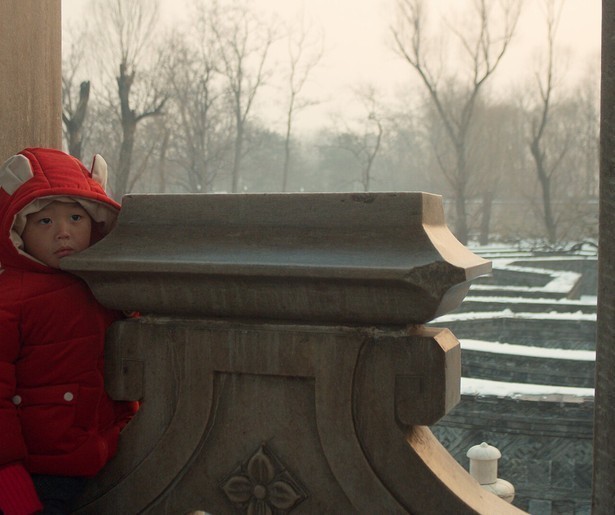 De Chinese zoektocht naar de bronzen Zodiac Heads
