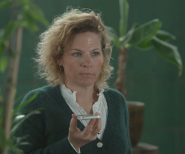 Pointer Special beantwoordt: dreigt er gevaar vanuit het water?