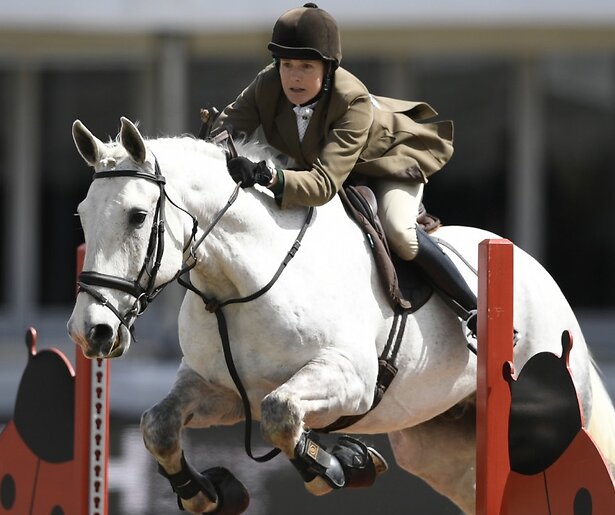 Verschillende disciplines in paardensport komen voorbij tijdens de iconische Royal Windsor Horse Show