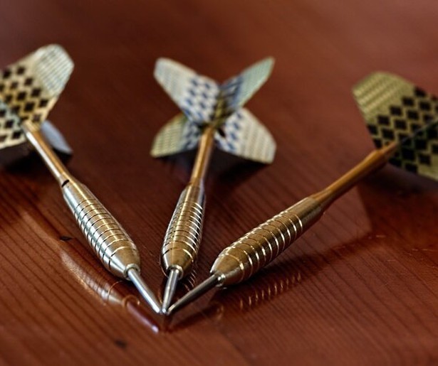 Michael en Dirk verdedigen de Nederlandse darts-eer