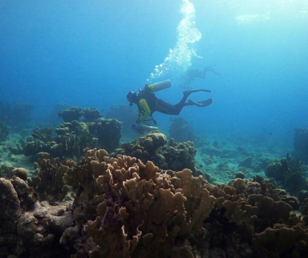 De mens en de natuur komen aan bod in Ruimteschip Aarde