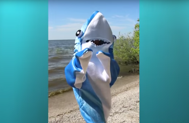 Videosnack: Shark-ira verovert het internet